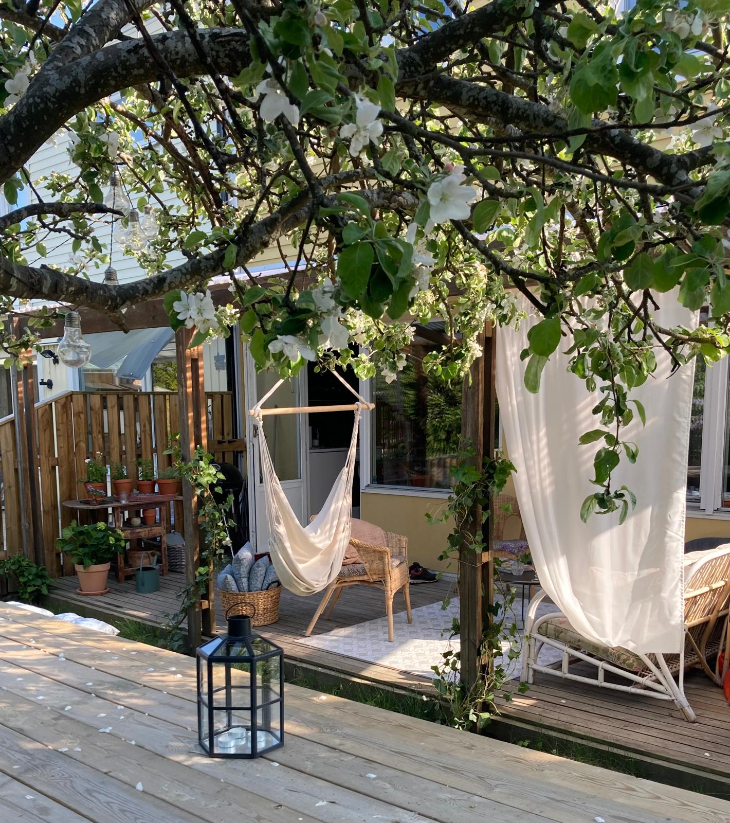 Solig träterrass under blommande träd med hängstol och vita gardiner